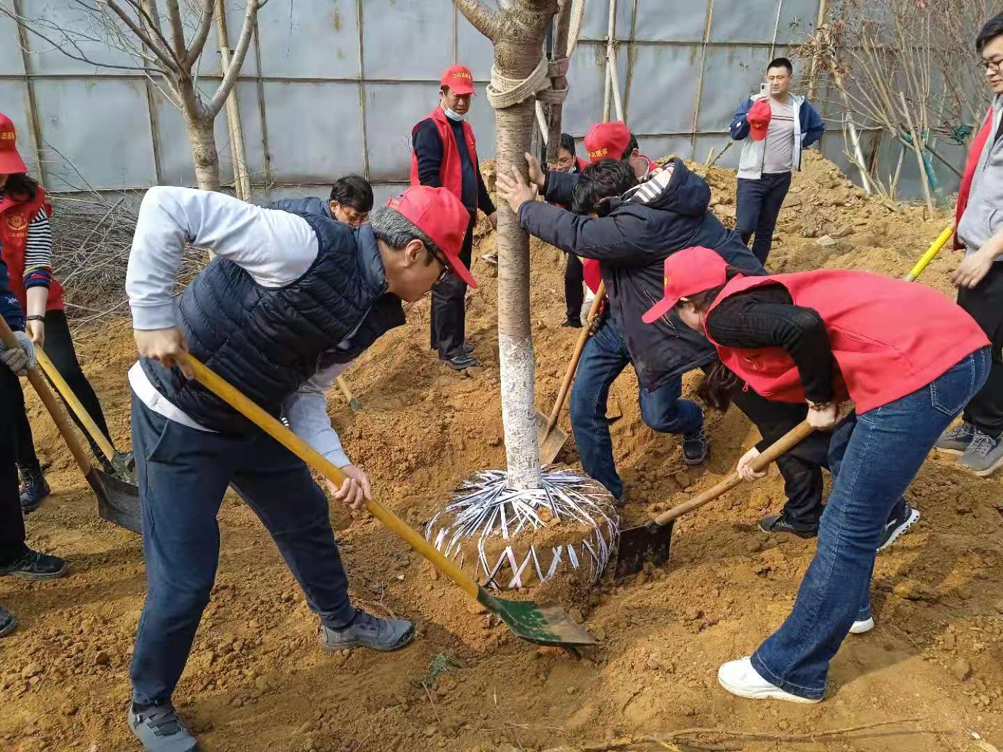 植樹1.jpg